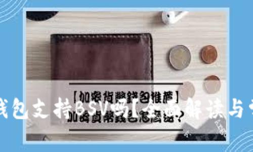 比特派钱包支持BSV吗？全面解读与常见问题