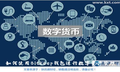 如何使用BitKeep钱包进行数字资产管理