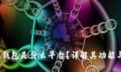 b特派钱包是什么平台？详解其功能与优势