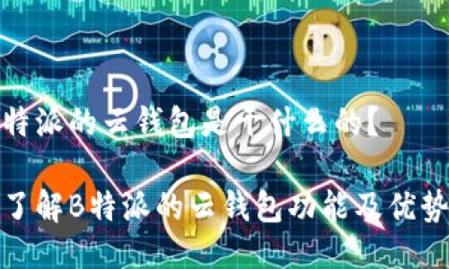 特派的云钱包是干什么的？

了解B特派的云钱包功能及优势
