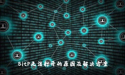 BitP无法打开的原因及解决方案