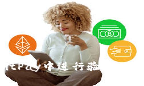 如何在BitPay中进行验证：步骤与技巧