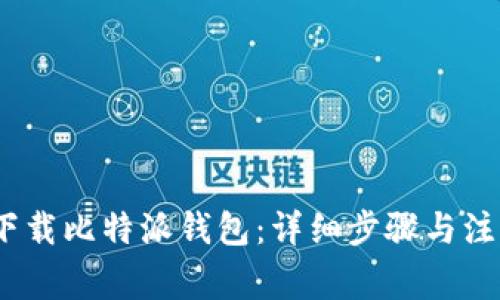 :如何下载比特派钱包：详细步骤与注意事项