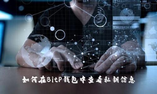 如何在BitP钱包中查看私钥信息