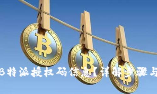 如何查询B特派授权码信息？详解步骤与注意事项