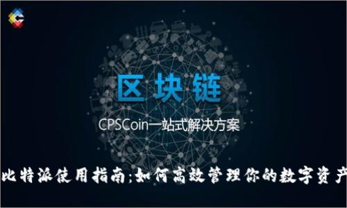 比特派使用指南：如何高效管理你的数字资产