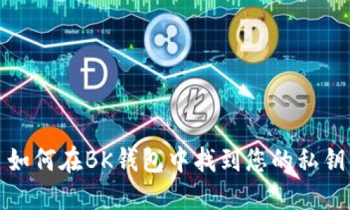 如何在BK钱包中找到您的私钥