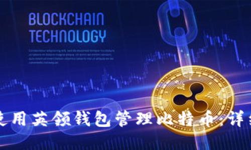 如何使用英领钱包管理比特币：详细指南