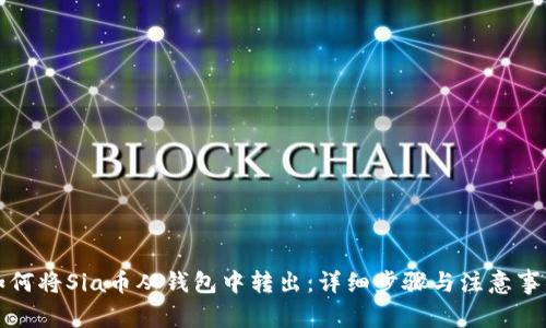 如何将Sia币从钱包中转出：详细步骤与注意事项