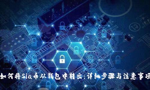 如何将Sia币从钱包中转出：详细步骤与注意事项