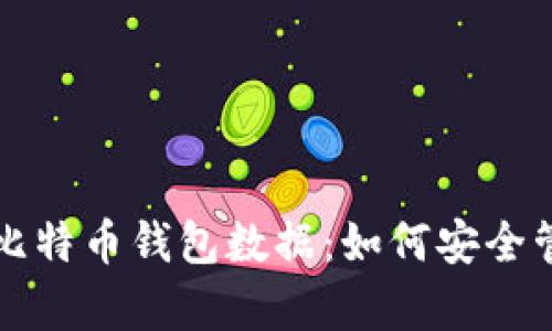 全面解析比特币钱包数据：如何安全管理与利用
