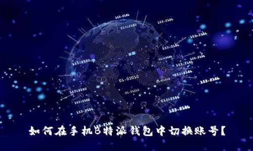 如何在手机B特派钱包中切换账号？