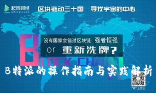 B特派的操作指南与实践解析
