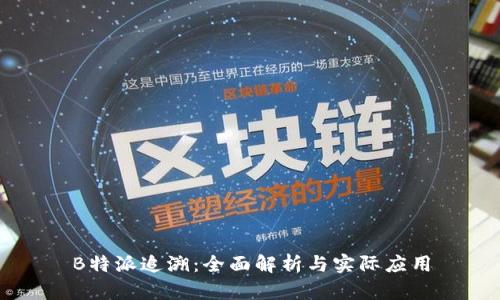 B特派追溯：全面解析与实际应用