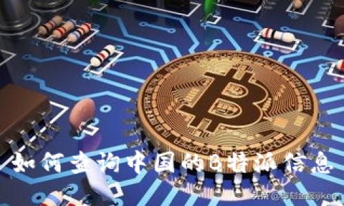 如何查询中国的B特派信息