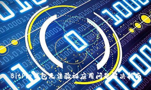BitPie钱包无法验证应用问题解决指南