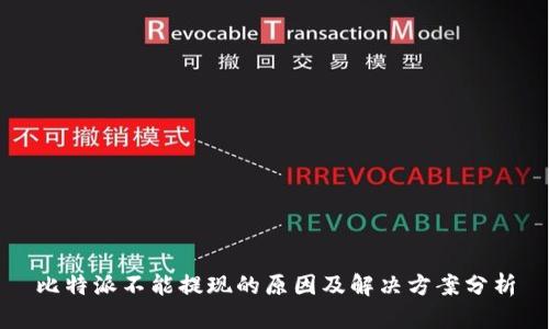 比特派不能提现的原因及解决方案分析