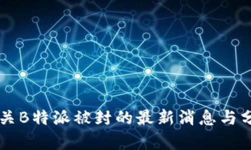 有关B特派被封的最新消息与分析