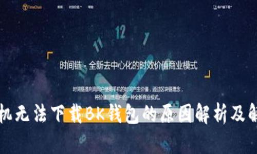 苹果手机无法下载BK钱包的原因解析及解决方案