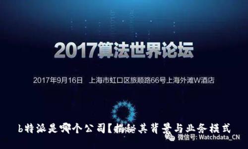 b特派是哪个公司？揭秘其背景与业务模式