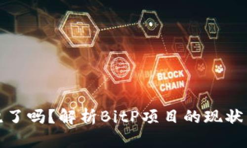 BitP跑了吗？解析BitP项目的现状与前景