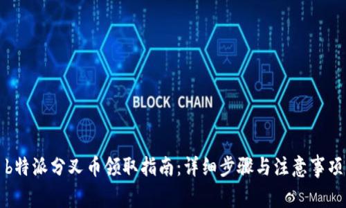 b特派分叉币领取指南：详细步骤与注意事项