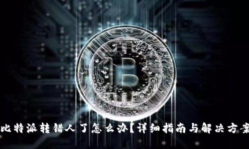 比特派转错人了怎么办？详细指南与解决方案