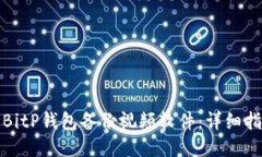 如何使用BitP钱包备份视频软件：详细指南与技巧