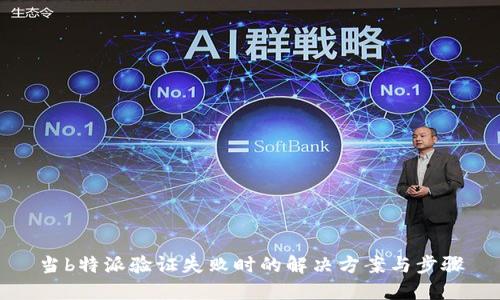 当b特派验证失败时的解决方案与步骤