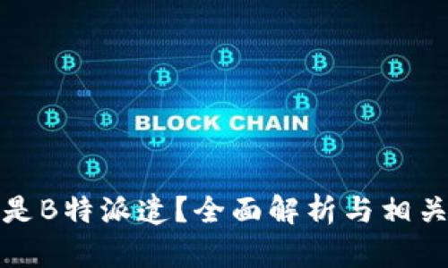 什么是B特派遣？全面解析与相关信息