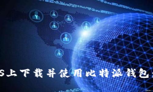 如何在iOS上下载并使用比特派钱包：全面指南