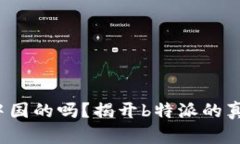 b特派是中国的吗？揭开b特派的真相与背景