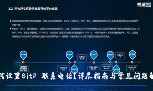 如何设置BitP 联系电话？详尽指南与常见问题解答