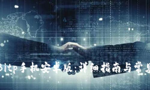如何下载Bitp手机安卓版：详细指南与常见问题解析