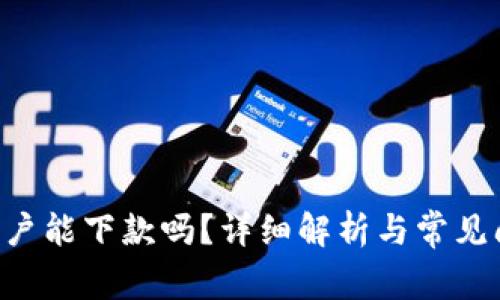u钱包黑户能下款吗？详细解析与常见问题解答