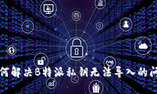 如何解决B特派私钥无法导入的问题