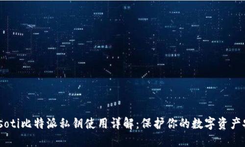 biasoti比特派私钥使用详解：保护你的数字资产安全