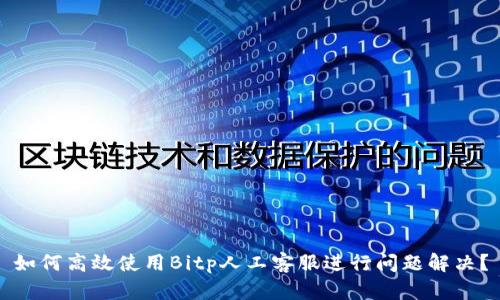 如何高效使用Bitp人工客服进行问题解决？