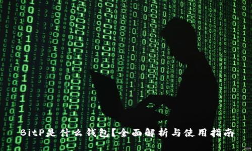 BitP是什么钱包？全面解析与使用指南