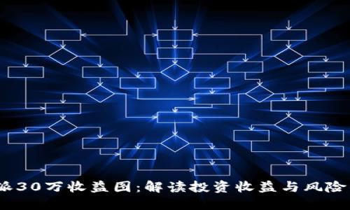 : b特派30万收益图：解读投资收益与风险的平衡