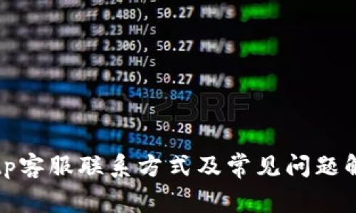 Bitp客服联系方式及常见问题解答