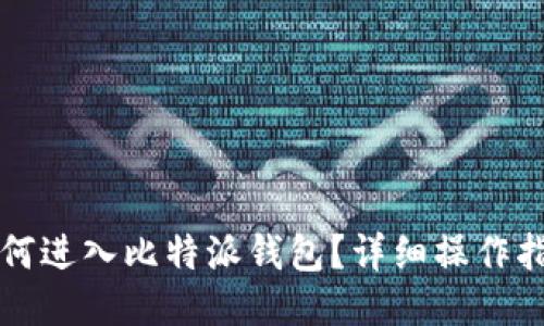 如何进入比特派钱包？详细操作指南