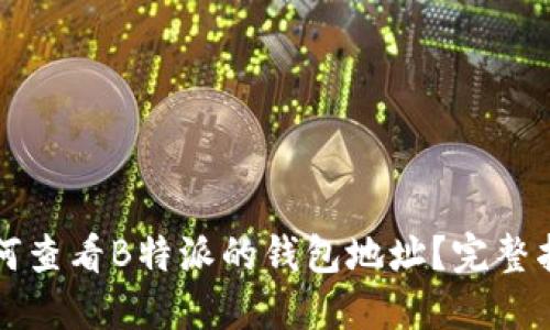 如何查看B特派的钱包地址？完整指南