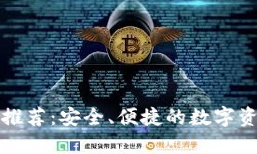 瑞波币钱包推荐：安全、便捷的数字资产管理方案