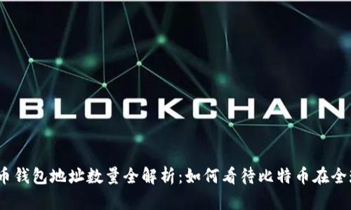 2023年比特币钱包地址数量全解析：如何看待比特币在全球的使用情况