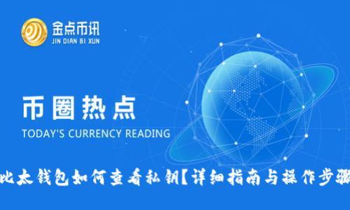 比太钱包如何查看私钥？详细指南与操作步骤