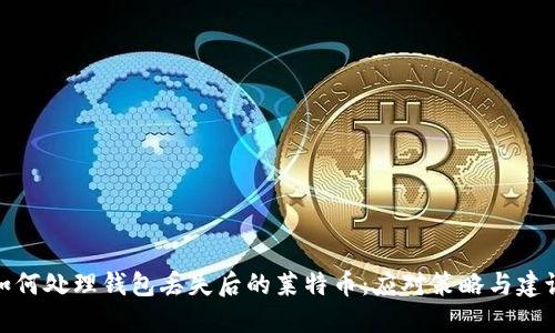 如何处理钱包丢失后的莱特币：应对策略与建议