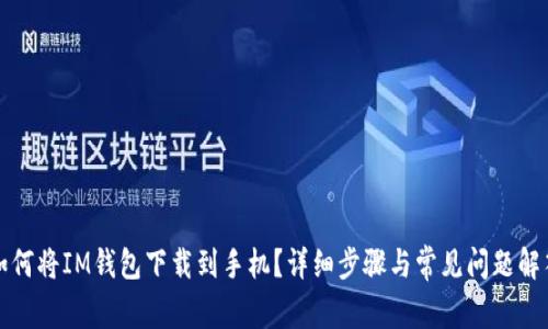 如何将IM钱包下载到手机？详细步骤与常见问题解答