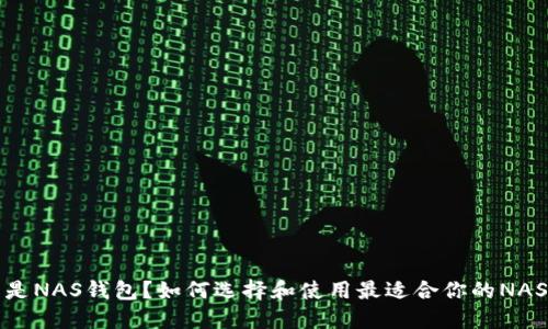 什么是NAS钱包？如何选择和使用最适合你的NAS钱包