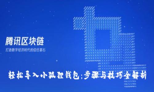 轻松导入小狐狸钱包：步骤与技巧全解析